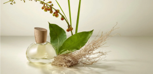 Eau de Parfum 875 Vetiver Capitiú – Natura